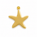 Gold-Plated Star Charm ⭐